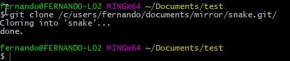 Git cloning a local repository using an absolute path